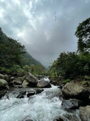 Crystal-clear river flowing over smooth rocks, framed by lush forest and misty mountain views.