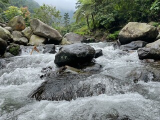 Crystal-clear river flowing over smooth rocks, framed by lush forest and misty mountain views.
