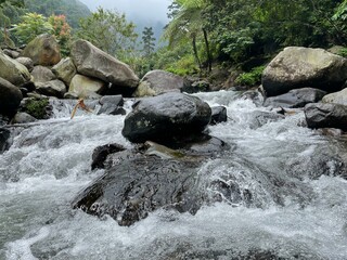 Crystal-clear river flowing over smooth rocks, framed by lush forest and misty mountain views.