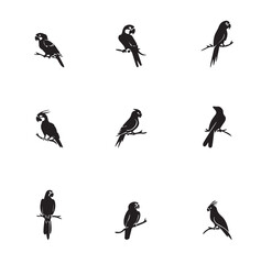 Group parrot vector design