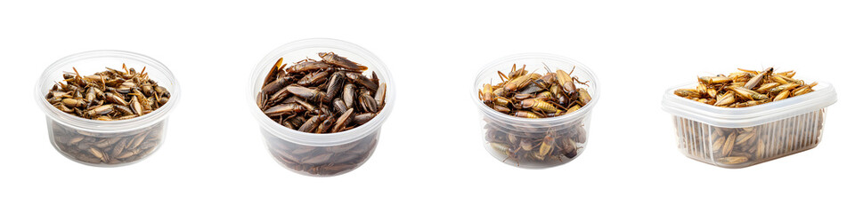 Sustainable protein snacks in various transparent containers filled with crispy edible insects, showcasing an innovative and health-conscious food trend for the future.