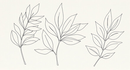Naklejka premium Elegant Line Art Botanical Illustrations Three Minimalist Leaf Branches Nature Drawing Simple