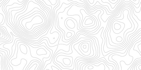  white and gray topographic map pattern with contour lines and terrain. perfect for modern minimalist design textures  and white background, 