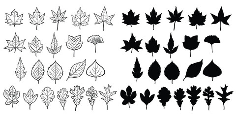 Set of leaves. Hand drawn decorative elements. Vector illustration