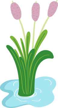 Clump of flower grass in cartoon style Illustration