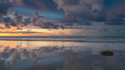 Beautiful sunset over the ocean. Pastel colors. The sky near the horizon is illuminated with golden, pink. Purple clouds. A bunch of seaweed on the beach. Reflection on wet, smooth sand. Long exposure