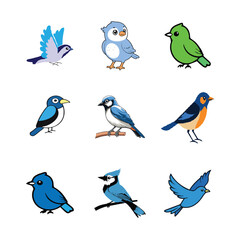 bird vector pics 1