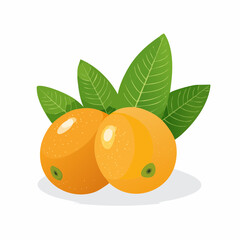 Fresh Apricots with Leaves