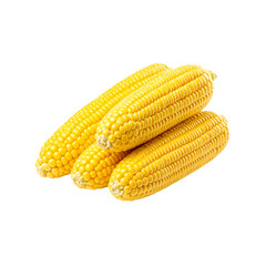 Frischer gelber Maiskolben, ein süßes Gemüse, isoliert für eine gesunde vegetarische Ernährung