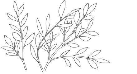 Elegant Line Art Botanical Illustration Simple Leaves Branches and Floral Design Elements