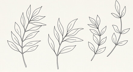 Obraz premium Elegant Line Art Botanical Illustrations Four Delicate Branch Drawings