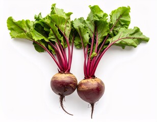 Two freshly harvested beets with vibrant green leaves, presented close-up. Two raw beetroots with a bit of soil and stems trimmed, arranged symmetrically on a clean white background