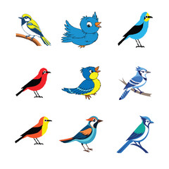 Obraz premium bird vector pics 3