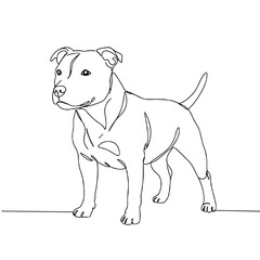 Fototapeta premium Staffordshire Bull Terrier in line style, minimalist PNG dog illustration on transparent background