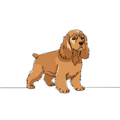 Cocker Spaniel standing, realistic PNG dog illustration on transparent background