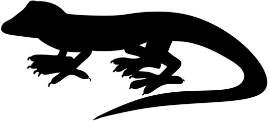 Tree Anole Silhouette Vector Lizard Shadow Illustration