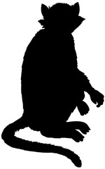 Sitting Monkey Silhouette Vector Shadow Wildlife Illustration