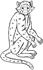 Green Monkey Vector Outline Line Art Drawing