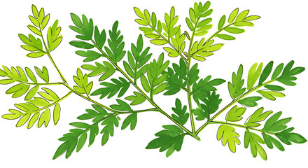 Obraz premium Lush Green Watercolor Fern Branch Botanical Illustration Nature Design Element