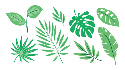 A collection of tropical green leaves in flat vector style. Perfect for summer designs, nature themes, botanical patterns, and eco-friendly projects. Isolated on a white background.