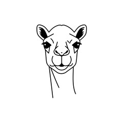Minimalist Camel Portrait: Simple Black and White Line Art
