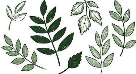 Collection of Hand Drawn Green Leaves Botanical Illustrations Nature Design Elements