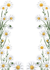 Fototapeta premium White Daisies Frame