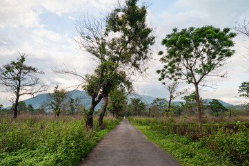 Obraz premium road in the countryside