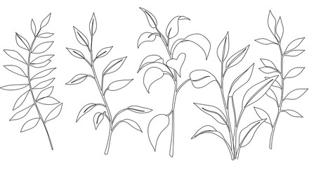 Elegant Line Art Botanical Illustrations Set of Five Simple Leaves and Branches