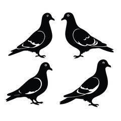 Fototapeta premium Black and white silhouette of pigeons in profile view. Four pigeons in profile view on a plain white background.