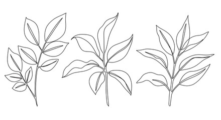 Elegant Line Art Botanical Prints Three Minimalist Leaf Branch Illustrations