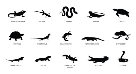different types of reptile animal silhouette vector