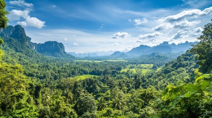 Obraz premium Lush, dense jungles in Southeast Asia during August's peak heat and humidity. 