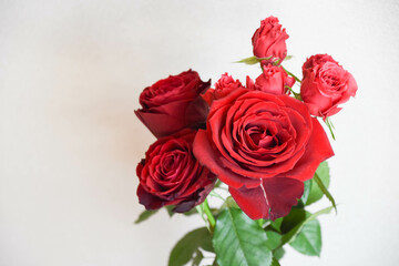 赤い薔薇