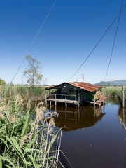 Old fishing scales on stilts in the quiet of the Tuscan swamp