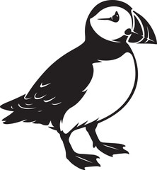 Puffin silhouette elegant black and white, Minimal puffin bird profile illustration