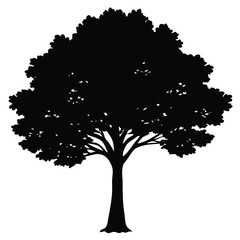 Fototapeta premium silhouette of tree