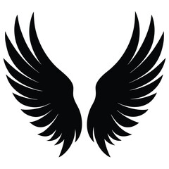 Fototapeta premium wings