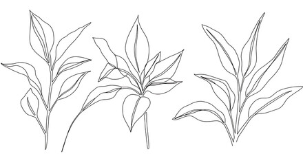 Fototapeta premium Elegant Minimalist Line Art Botanical Prints Three Unique Leaf Designs Perfect for Home Decor or