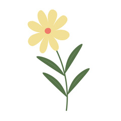 Hand Drawn Flower Element