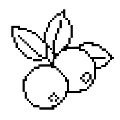 Fototapeta premium pixel outline blueberries with leaves on a transparent background for modern design