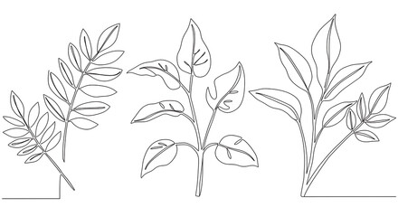 Fototapeta premium Elegant Line Art Botanical Illustration Leaves Branches and Foliage Design