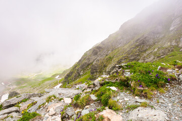 steep slope of fagaras ridge. outdoor adventure. mountain landscape of romania in summer. distant valley in clouds. alpine environment
