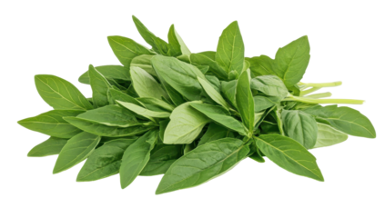 A small bunch of vibrant green leaves, possibly a type of herb or leafy green, sits on a plain background.  The leaves are slightly overlapping, showing various sizes and shapes