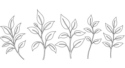 Obraz premium Elegant Line Art Botanical Illustrations Five Simple Leaf Branch Designs for Print