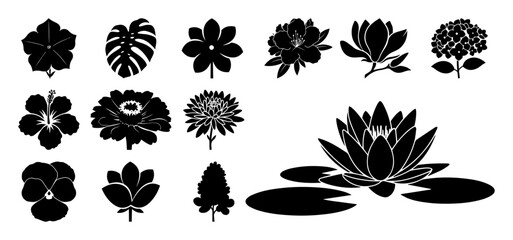 collection of tropical flower silhouettes vector shapes black engraving laser cutting