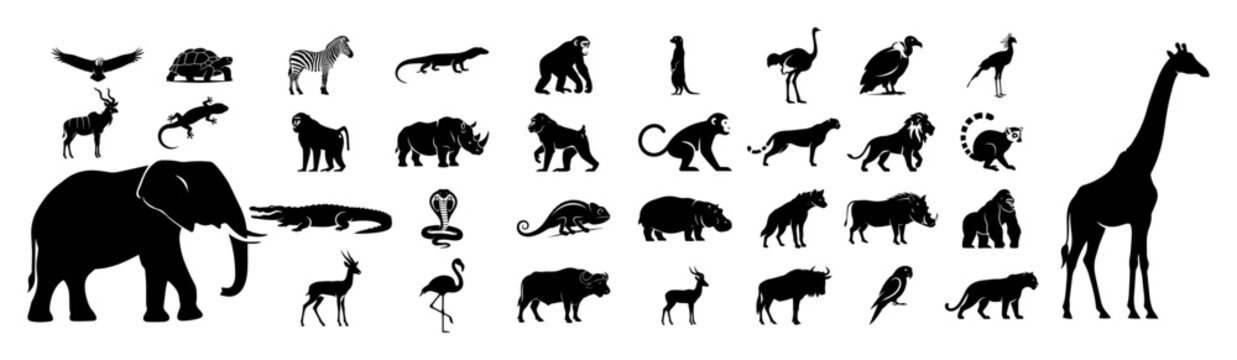 african animals collection silhouette vector shapes black engraving laser cutting