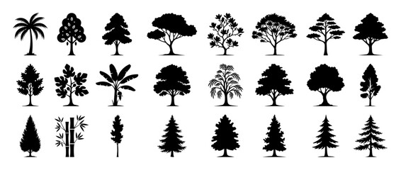 tree types and forest collection black silhouette shape vector
