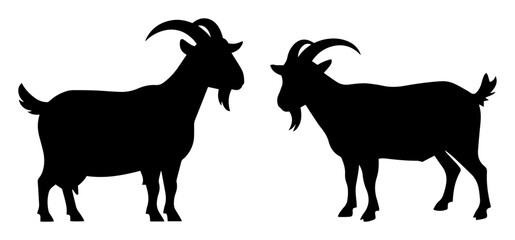 goat pair standing side view black silhouette shape vector