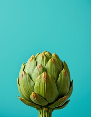 Fototapeta premium Harvesting fresh artichoke on vibrant blue background close-up view nature photography culinary inspiration